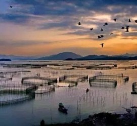 南充伴游中国网景点丰富(旅游网介绍)