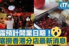 南充香港酒店雇用高薪伴游(高端伴游雇用)