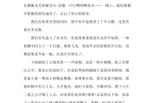 南充旅游感想(张家界旅游感想)