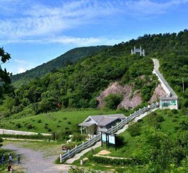 南充休闲游(休闲旅游的含义及特点)