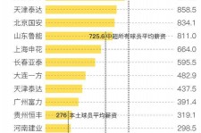 南充关于伴游小丽中国足球的信息