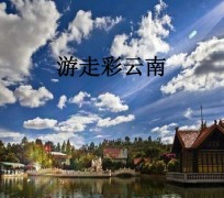 南充旅游介绍(旅游介绍词)