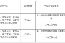 南充重庆有雇用伴游外围吗(高端外围伴游雇用一单一结)