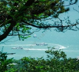 南充中国伴游网与你分享旅游的点滴(中国伴游网与你分享旅游的点滴是什么)