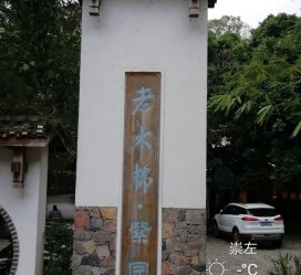 南充关于伴游中国伴游你们伴得是什么游的信息