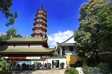 南充广州自由行(广州 自由行)
