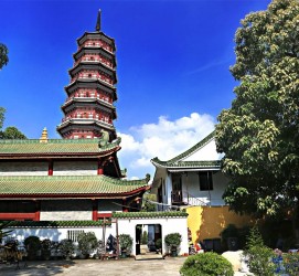 南充广州自由行(广州 自由行)