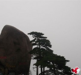 南充上海伴游私家陪游雇用女模(上海伴游私家陪游雇用女模特)