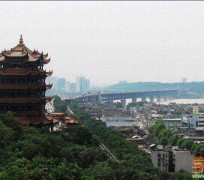 南充武汉游玩攻略(武汉游玩攻略ppt)