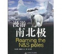 南充游记攻略(ps西游记攻略)