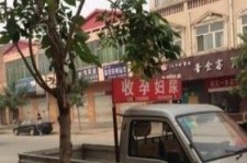 南充上海伴游 用伴游造句大全(5