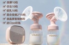 南充奶模(奶模型)