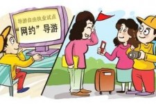南充伴游是什么