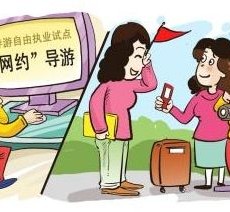 南充伴游是什么