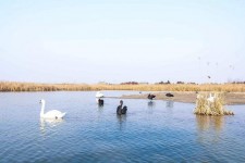 南充南昌附近伴游小妹兼职(1534939978姐的微信德惠市)