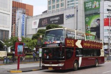 南充上海私人伴游 上海过年怎么玩？这些“微游”线路了解下→