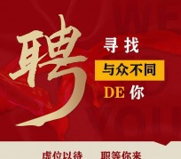 南充商务伴游招聘 重庆星级酒店诚招司机服务员夜场保安