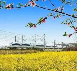 南充高铁游(高铁游戏下载手机版)