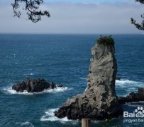 南充旅游全攻略(上海旅游全攻略)