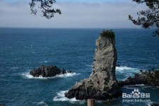 南充旅游全攻略(上海旅游全攻略)