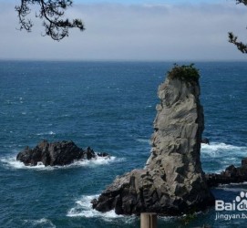 南充旅游全攻略(上海旅游全攻略)