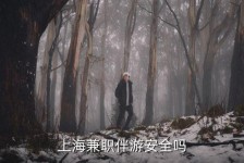 南充上海私人伴游 上海伴游，上海兼职伴游安全吗
