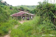 南充北海伴游兼职雇用信息(北海伴游兼职雇用信息大全)