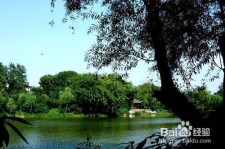 南充西湖旅游攻略(上海到杭州西湖旅游攻略)
