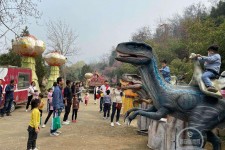 南充中国伴游带你打卡网红南山竹海(南山竹海网上预约)