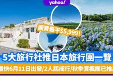 南充旅游价格(旅游价格机制)