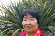 南充白叟带老伴游半个中国(白叟外出旅游)