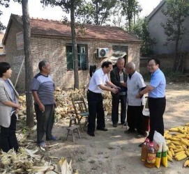 南充关于宋叔带老伴游中国的信息
