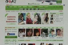 南充home伴游中国(zarahome乳胶枕)