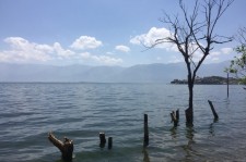 南充洱海旅游攻略(洱海旅游攻略自由行)