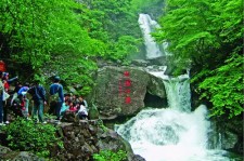南充安吉旅游攻略(湖州安吉旅游攻略)