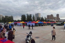 南充通辽伴游雇用(哈尔滨伴游雇用)
