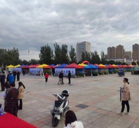 南充通辽伴游雇用(哈尔滨伴游雇用)