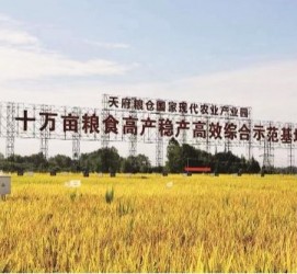 南充关于成都商务伴游外围雇用的信息