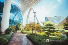 南充杭州外围伴游雇用(杭州外围雇用经纪人)