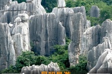 南充贵阳市游览社英语伴游雇用(贵阳市前十名游览社是哪几家)