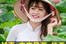 南充日本关东伴游中国(日本关西旅行)