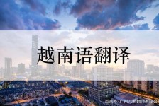 南充越南翻译兼职伴游(在越南怎样找私人翻译)