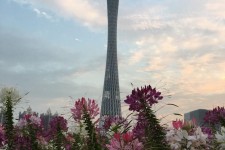 南充广州旅游攻略(杭州到广州旅游攻略)