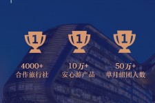 南充上海私人伴游 ​ “小而美”的新时代：2020年国内新跟团消费报告
