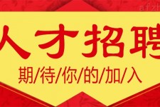 南充上海伴游招聘 招聘 | 浦东机场专柜销售