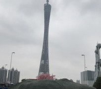 南充广州游玩攻略(广州游玩攻略景点大全免费)
