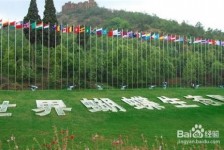 南充昆明旅游攻略(昆明旅游攻略景点大全抚仙湖)