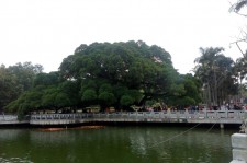 南充福州旅游攻略(福州旅游攻略二日游)
