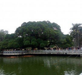 南充福州旅游攻略(福州旅游攻略二日游)