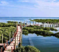 南充旅游哪里好玩(云南旅游哪里好玩)